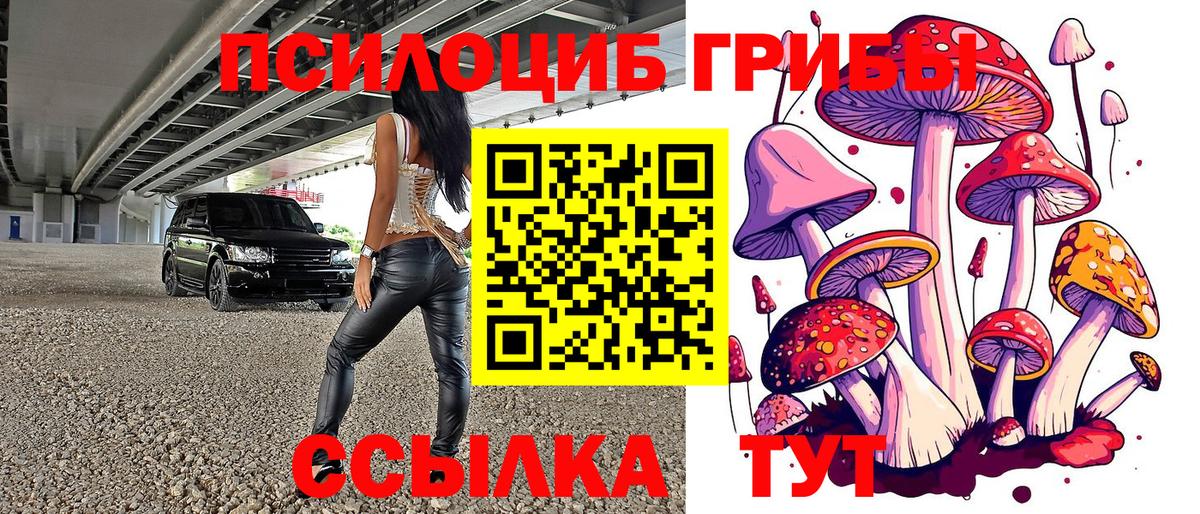 Саров  Псилоцибиновые грибы Cubensis  Вход с VPN  Псилоцибиновые грибы Psilocybe 